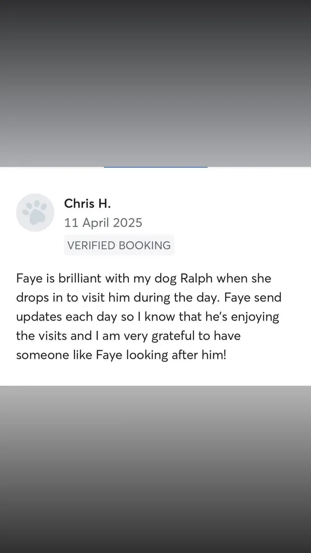 Customer testimonial